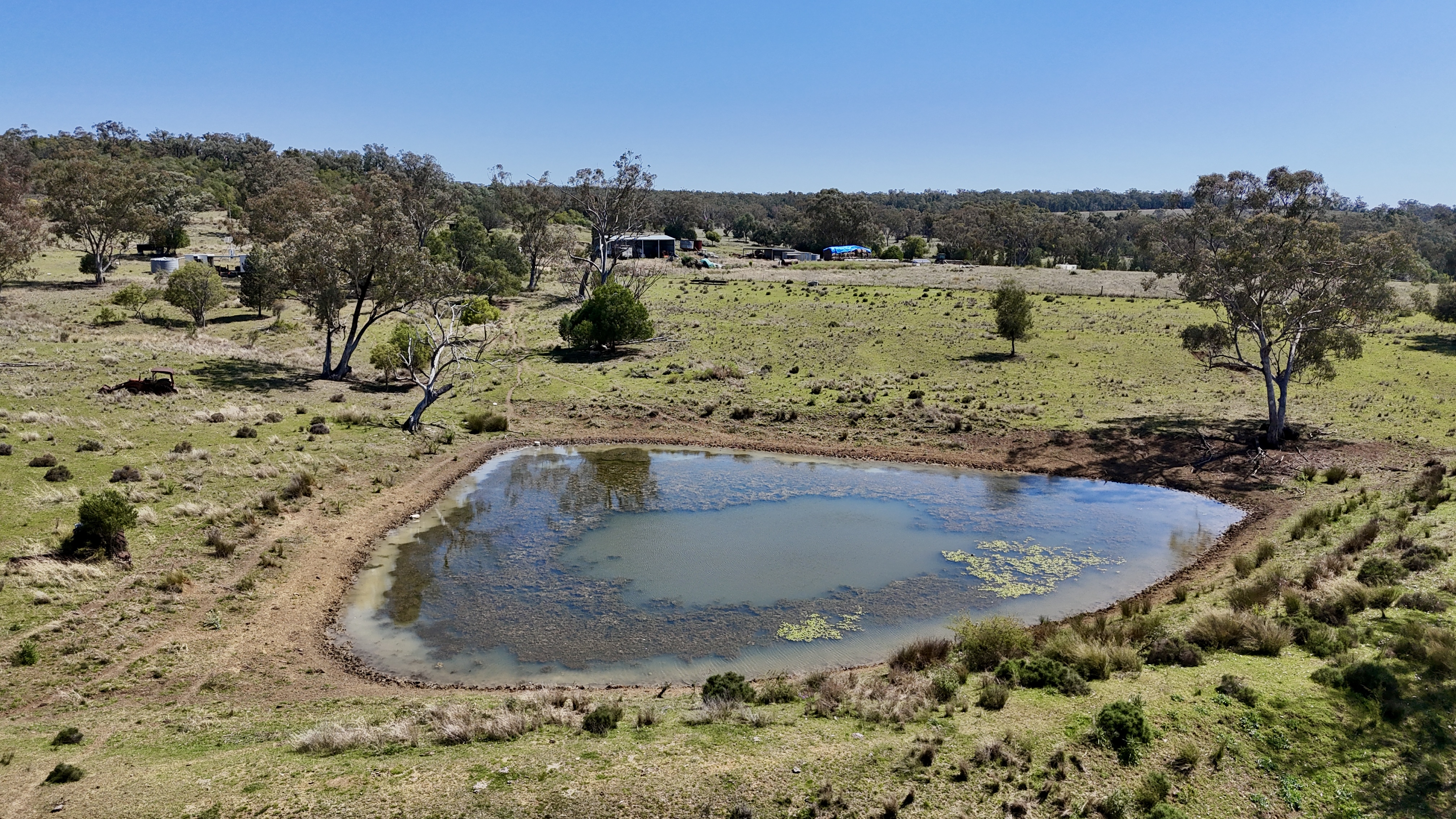 1385 Mosquito Creek Road